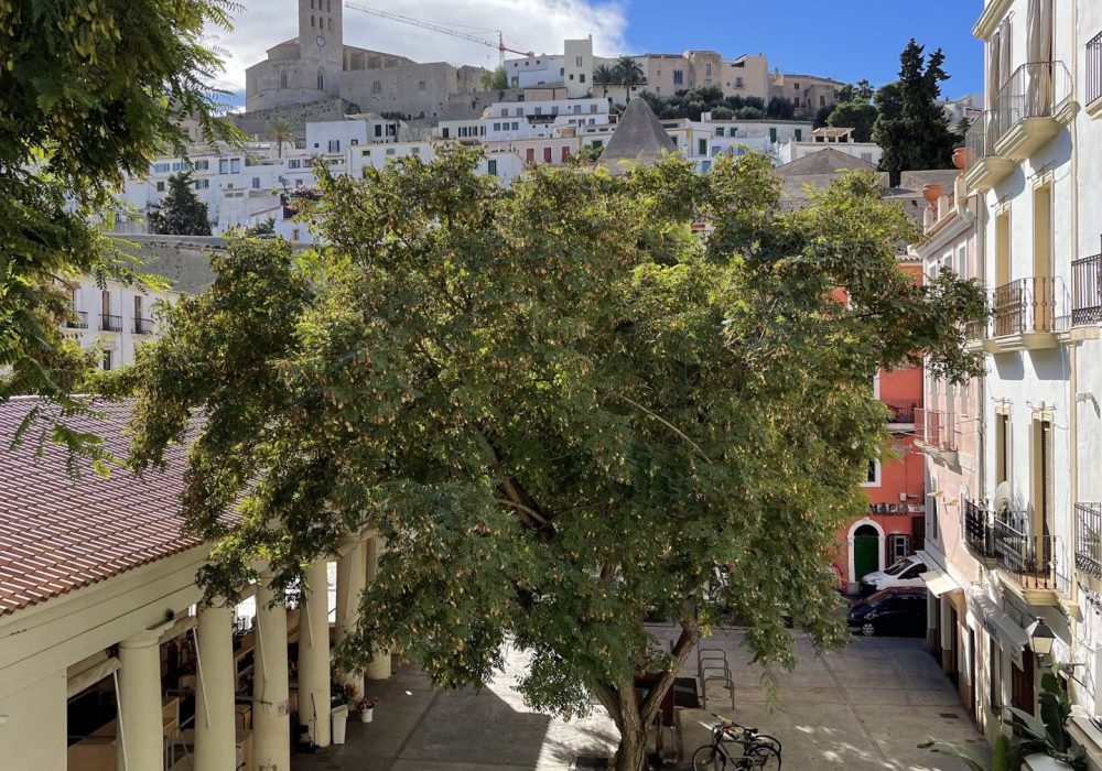 Central Penthouse with view of Dalt Vila 3