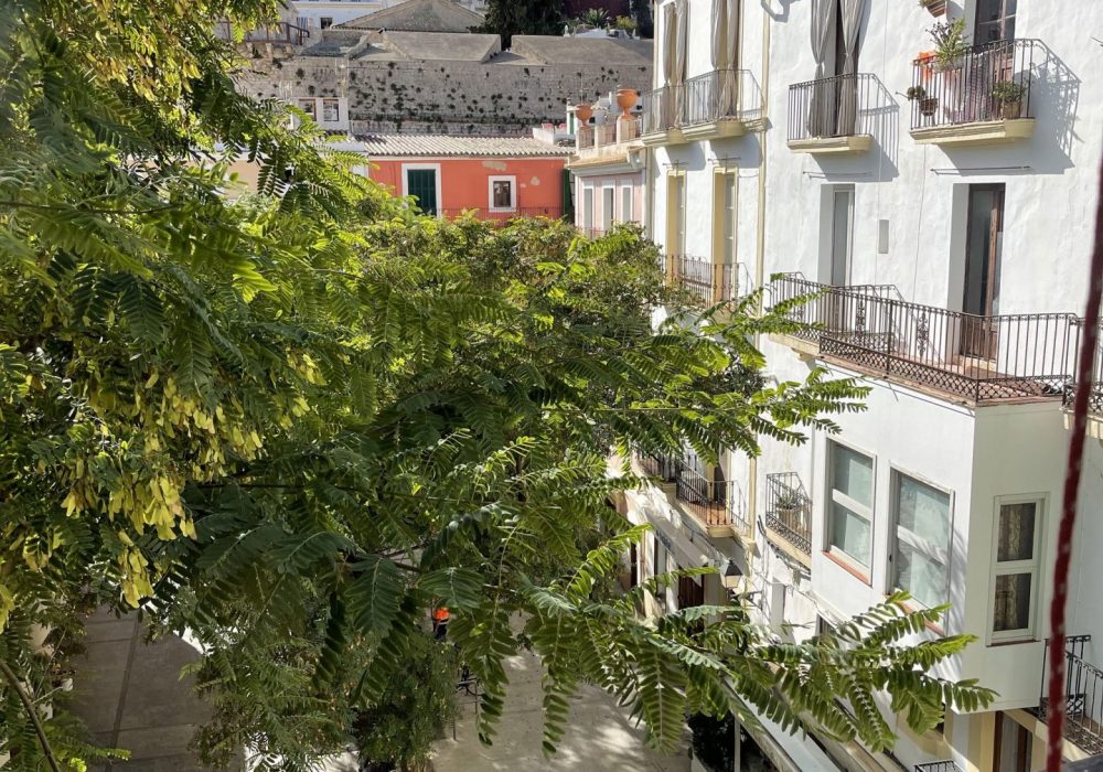 Central Penthouse with view of Dalt Vila 2