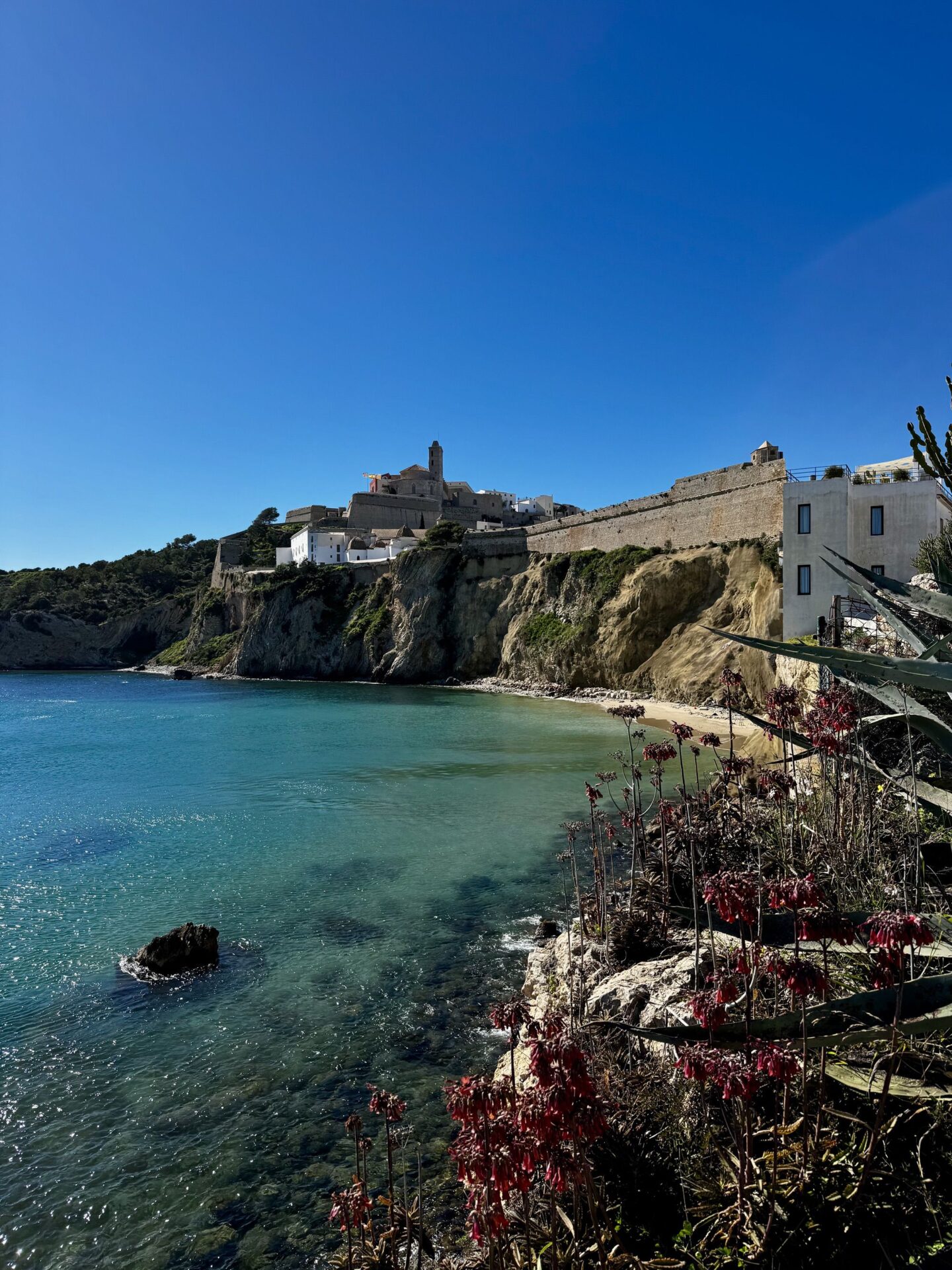 Project Featured Image